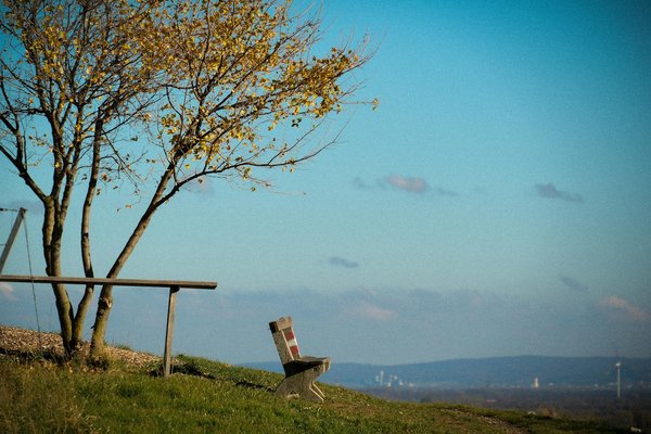 Dépistage génétique chez les seniors : Pourquoi et comment ?